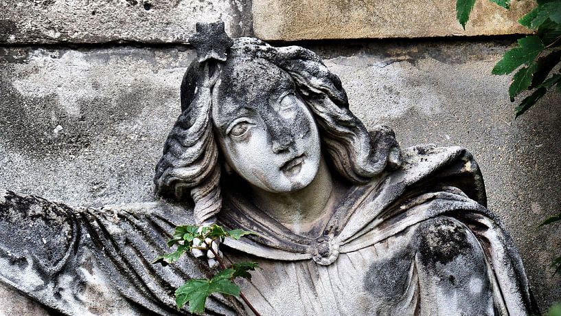 ...ein Land der Lebenden und ein Land der Toten V von Ilona Picha-Höberth