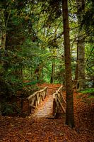 Brug op Landgoed Fraeylemaborg, Groningen