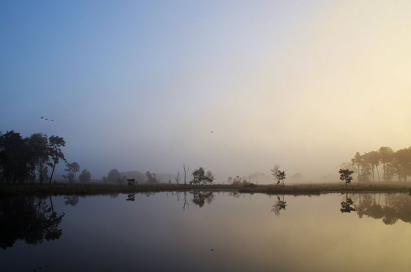 Zonsopkomst Vennengebied IV Turnhout Belgie by Watze D. de Haan
