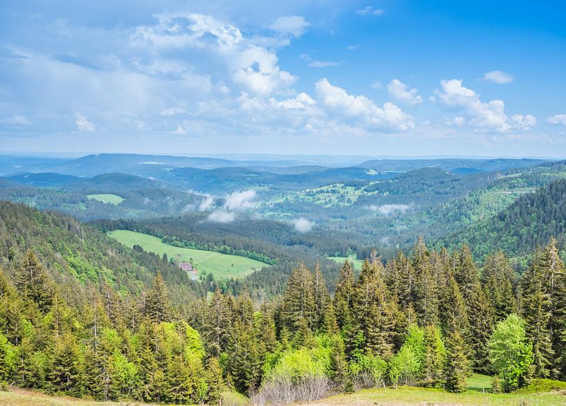 Vue sur la Forêt-Noire en Allemagne par Animaflora PicsStock