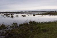 De Muy in winter, Texel