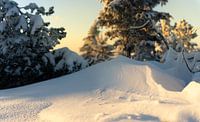 Small snow dunes illuminated by the setting sun