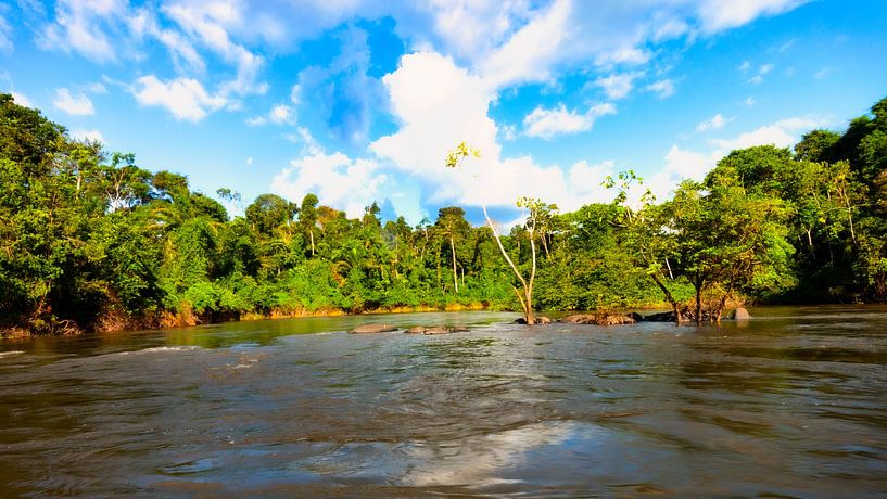 La réserve naturelle est située sur la rivière Kabalebo, dans la région occidentale du Suriname. par René Holtslag