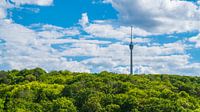 Fernsehturm der Stuttgarter Stadtsilhouette umgeben von grünem Wald im Sommerpanorama