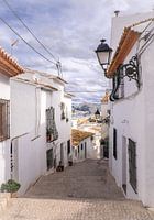 Altea
