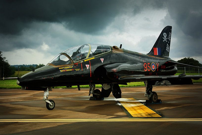 Falke von Joost van Doorn