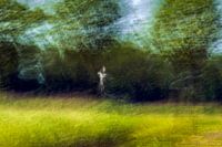 paysage abstrait avec ombre