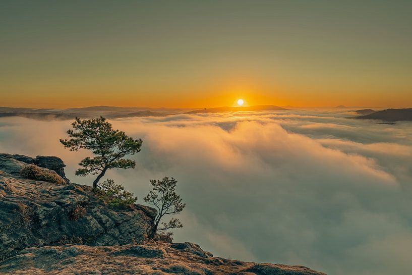 Saxon Switzerland by Ralf Hickmann