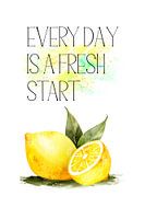 Küchenposter Zitrone