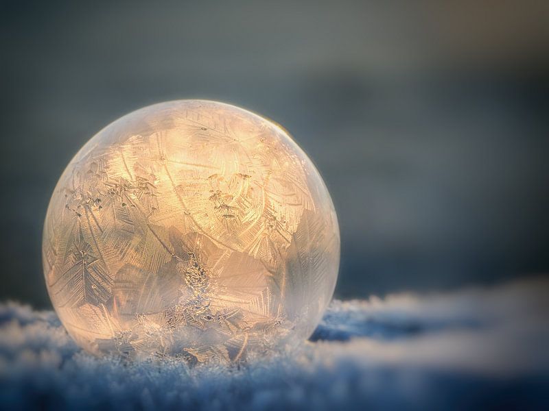 Gefrorene Kunst #1 von Lex Schulte