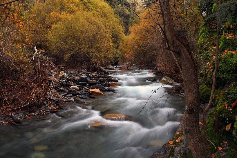 Der Herbstfluss von Cornelis (Cees) Cornelissen