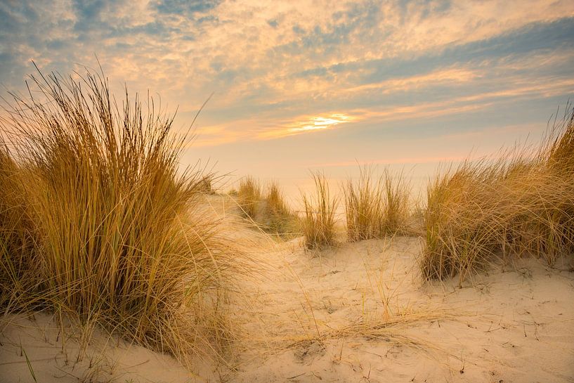 Durch die Dünen. von Dirk Keij-Bron