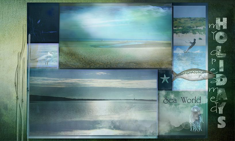 Mes vacances de rêve par Carla van Zomeren