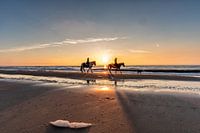 Evening horseride on the beach at sunset