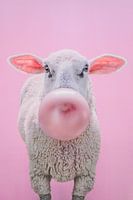 Schaf mit Kaublase auf rosa Hintergrund - verspielt und schrullig Kunstwerk