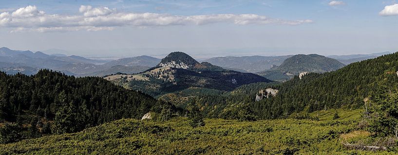Tesla von Stefan Havadi-Nagy