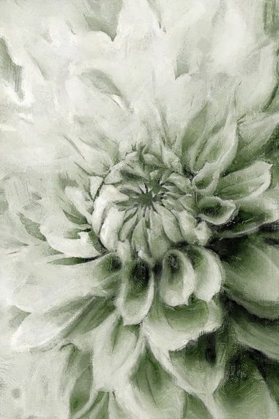 Dahlia | Vert par Kanzo