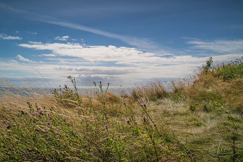 Zwischen den Strandblumen mit Blick auf das Schiff auf See von Tina Linssen