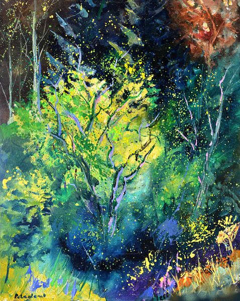 Sunlight in a dark wood von pol ledent