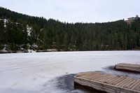 Vereister Mummelsee See mit zwei Holzstegen und Wald im Hintergrund