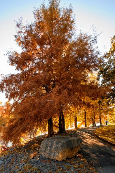Park Schinkeleilanden Amsterdam by Peter Bartelings