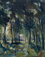 Sentier forestier Brabant central