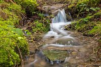 untouched countryside