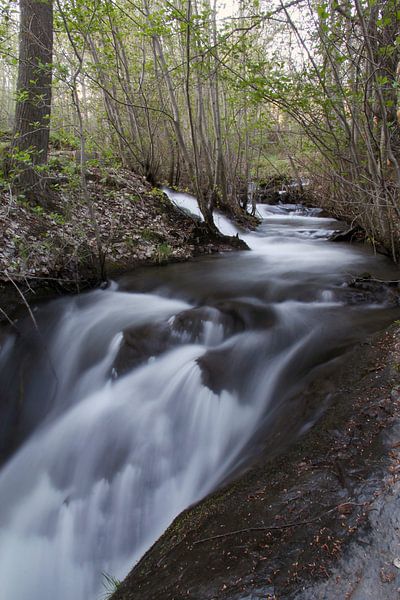 Marquis de Zenete I par Cornelis (Cees) Cornelissen