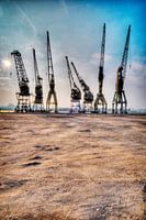 Havenkranen in de haven van Antwerpen