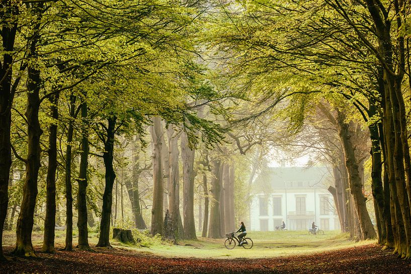 A Path for Everyone von Lars van de Goor