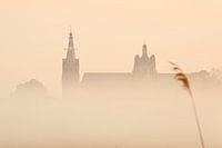 The Saint John of Den Bosch wakes up