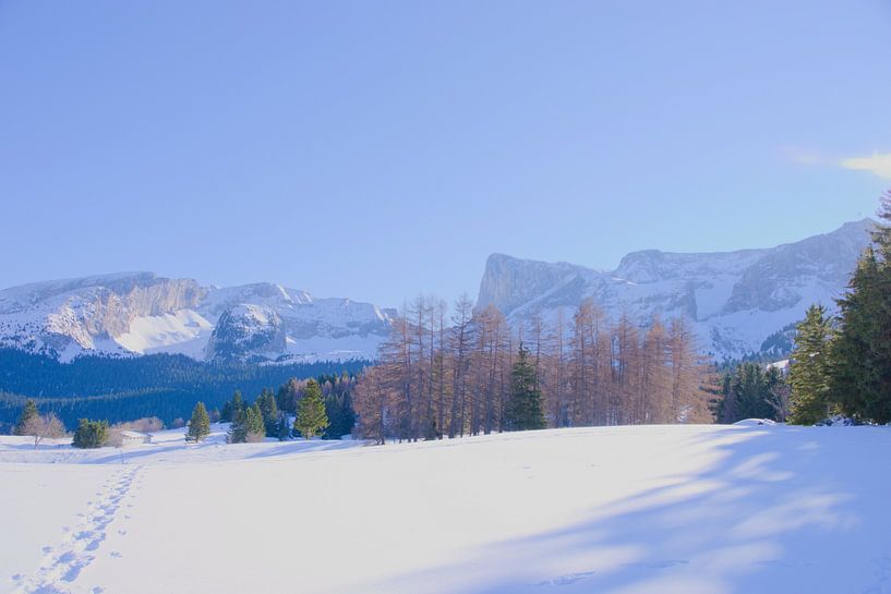 Superdévoluy im Winter von Koen Blancquaert