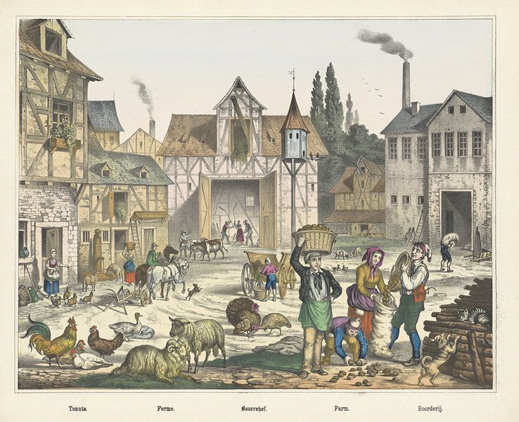 Tenuta. / Ferme. / Bauernhof. / Ferme. / Ferme, entreprise Joseph Scholz, 1829 - 1880_2 par Gave Meesters
