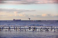 Katwijk aan zee series - Schiff am Horizont