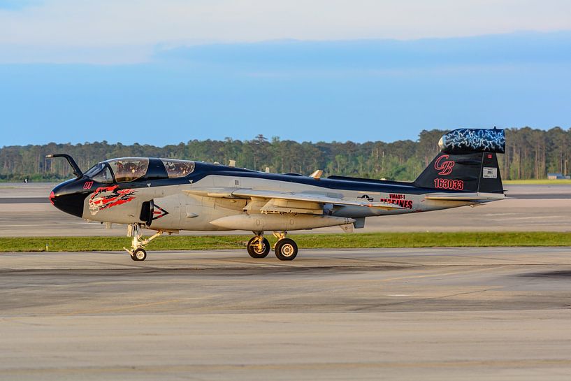 Sonderfarbgebung der Grumman EA-6B Prowler. von Jaap van den Berg