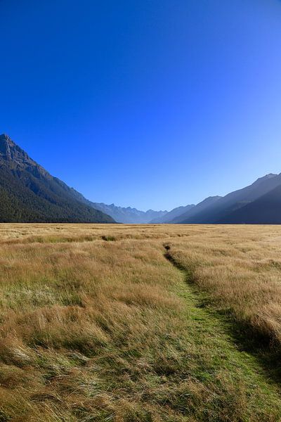Eglinton Valley: Tranquility and Natural Beauty in New Zealand by Be More Outdoor
