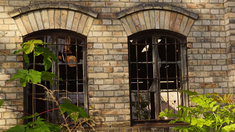 Ruin of the storage building of the Boellberg mill complex in Halle in Germany by Babetts Bildergalerie