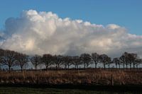 Land, lucht, zon en bomen