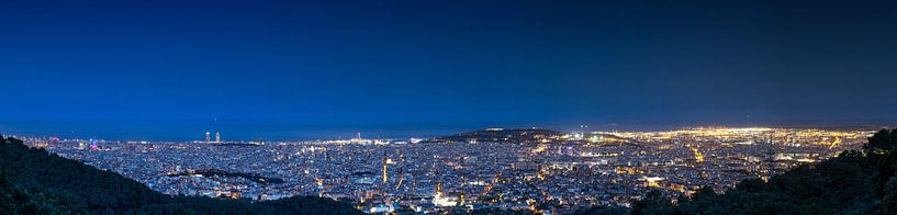 Barcelona Panorama zur blauen Stunde von Frank Herrmann