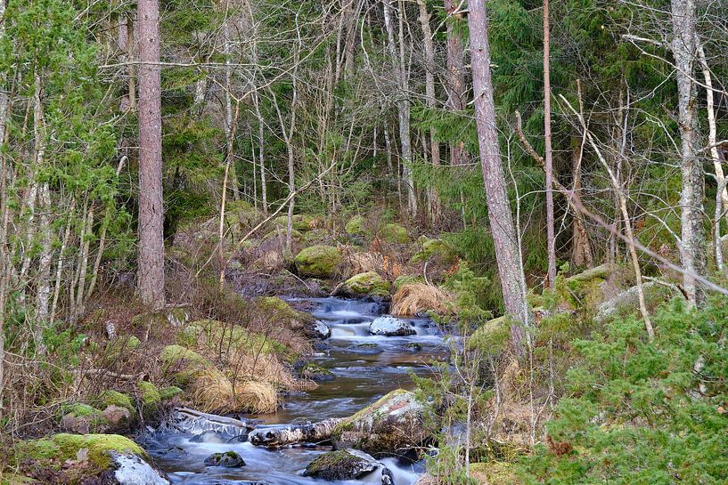 Schwedischer Bach 01 von Geertjan Plooijer