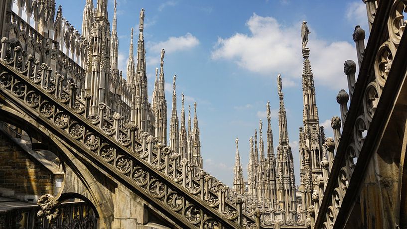 Dom Milan van Sofie Verbruggen