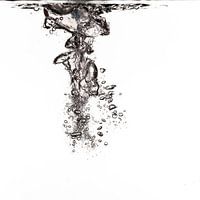 Lucht vliegt in het water