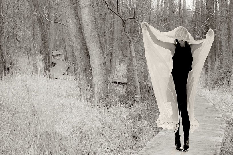 Habitat du prince grenouille par True Color Stories