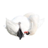 Schwan in der Instandhaltung