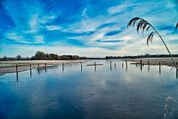 Winter in the Netherlands