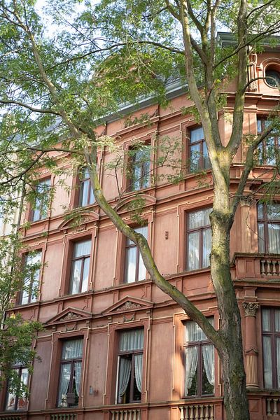 Ein Stück Amerika in den Niederlanden von Amy Hengst