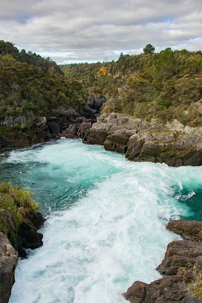 Aratiatia Rapids, Taupo, New Zealand by Nynke Altenburg