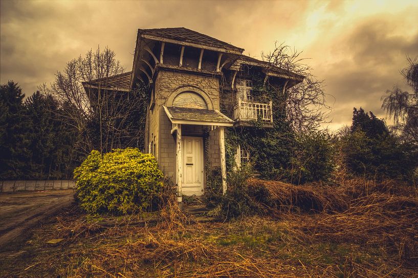 Overgrown house by On Your Wall