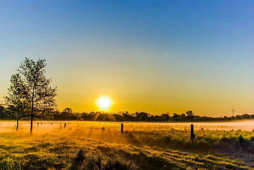Early morning by Norbert Sülzner