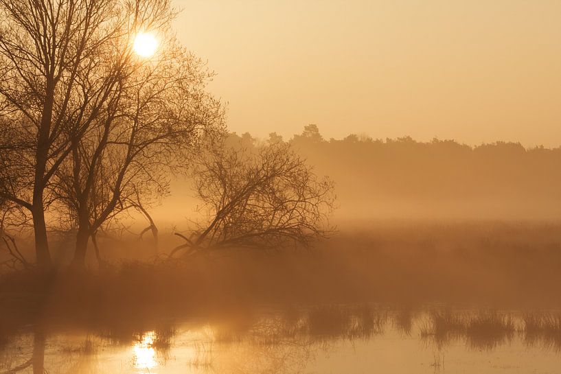 Morgenstimmungen II von Hans Koster